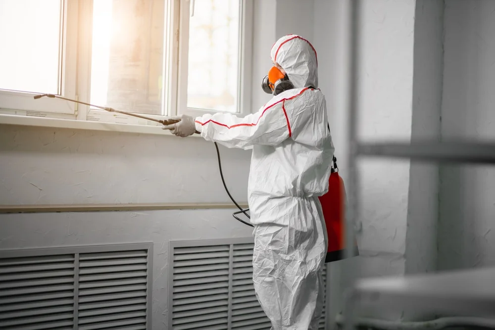 Professional mold remediation services in Otsego, MI